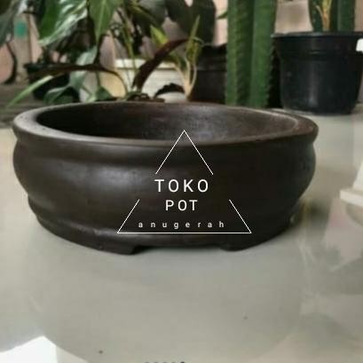 pot bonsai mame tanaman hias bentuk bulat/pot bonsai bulat mame