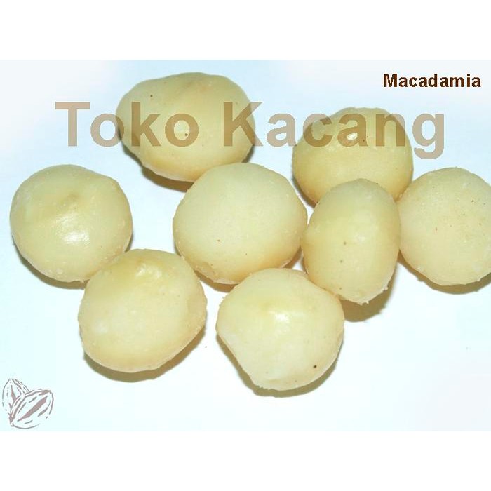 

Kacang Macadamia Mentah 1Kg