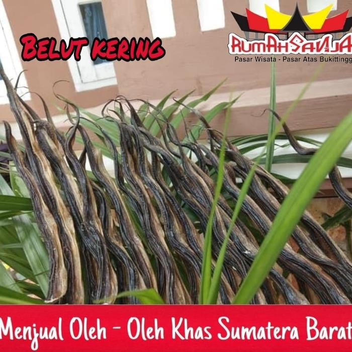

Belut Kering 1 Ikat Isi 50 Ekor
