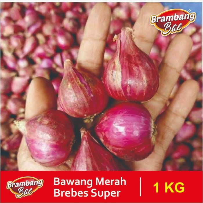 

PAGAMART PROMO BAWANG MERAH BREBES SUPER 1 KG BAWANG MERAH KUALITAS TERBAIK
