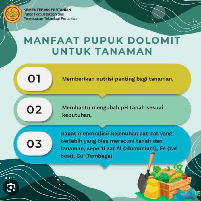 (Karungan 50Kg) Pupuk Dolomite 50Kg Kemasan Pabrik Ka Dolomit Ka