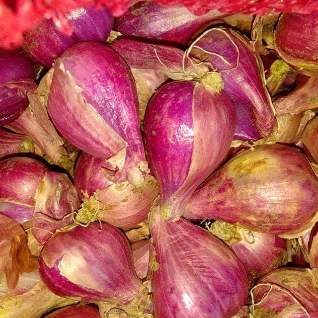

TERLARIS bawang brebes super 1kg READY STOCK