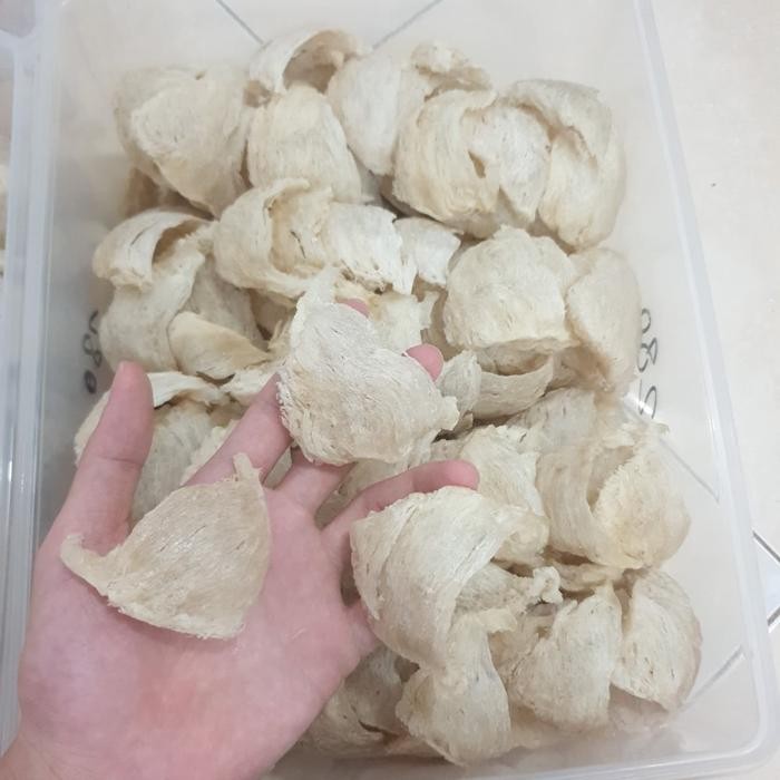 

New Sarang Burung Walet Segitiga 1gram / () / Birdnest