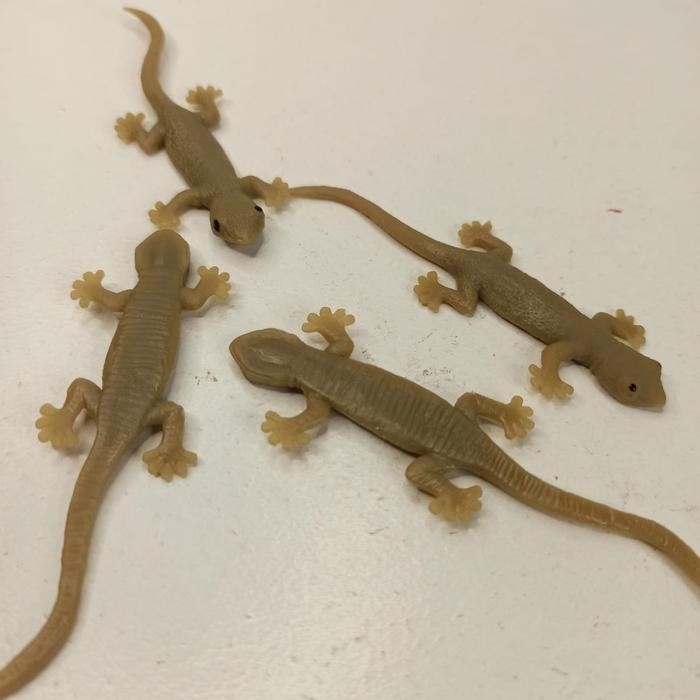 (Expert) mainan karet cicak coklat besar