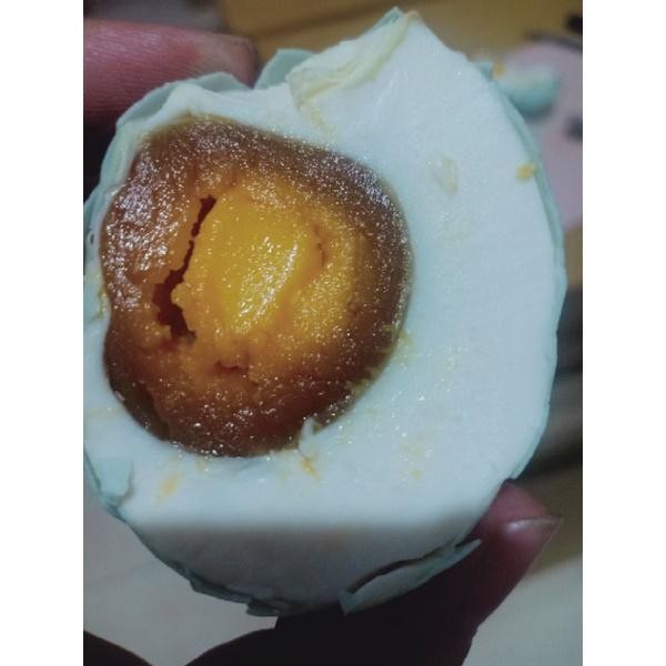 

(Expert) PAKET WOW TELUR ASIN (15 butir) BACA DESKRIPSI !!!