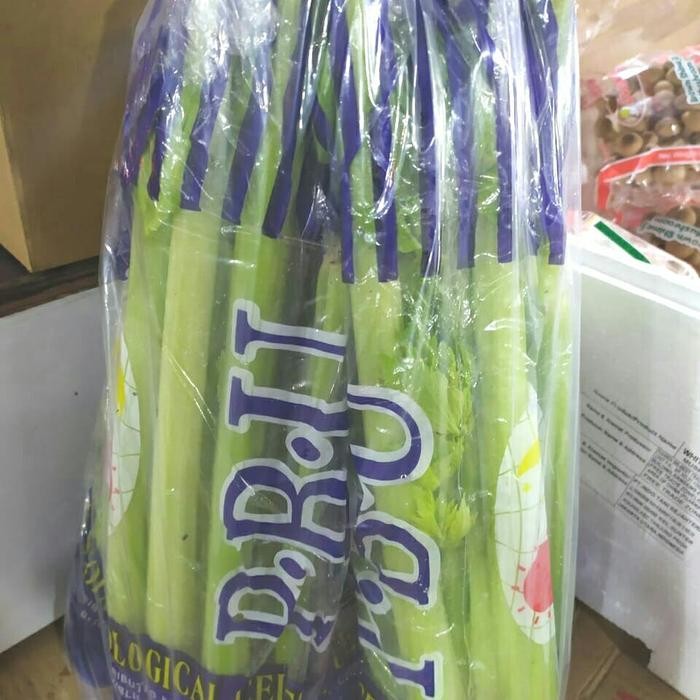 

New Seledri stik/batang