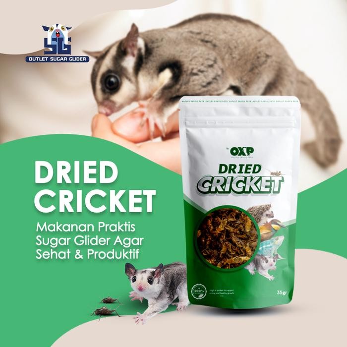 Jangkrik Kering untuk pangan Sugar Glider / Burung