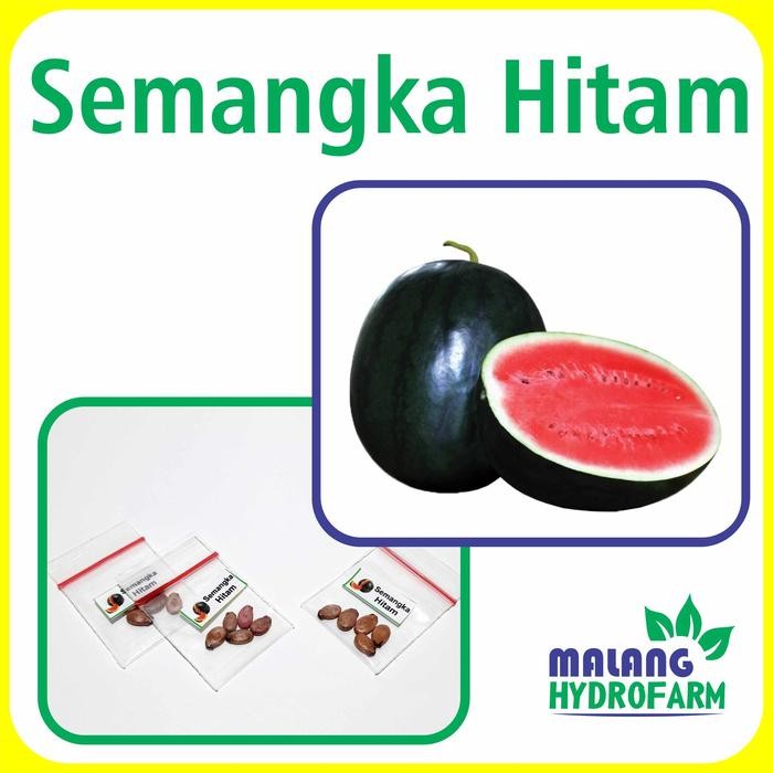 Tn Benih Semangka Hitam Unggulan Berkualitas Biji Bibit Repack Semangka Merah Kulit Gelap Manis