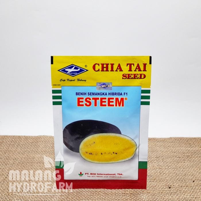 Tn Benih Semangka Kuning Esteem 20 Gram Cap Kapal Terbang Bisi Melon Biji