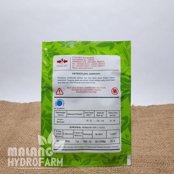 Tn Benih Mentimun Vanesa 20 Gram Cap Panah Merah Timun Ketimun Unggul