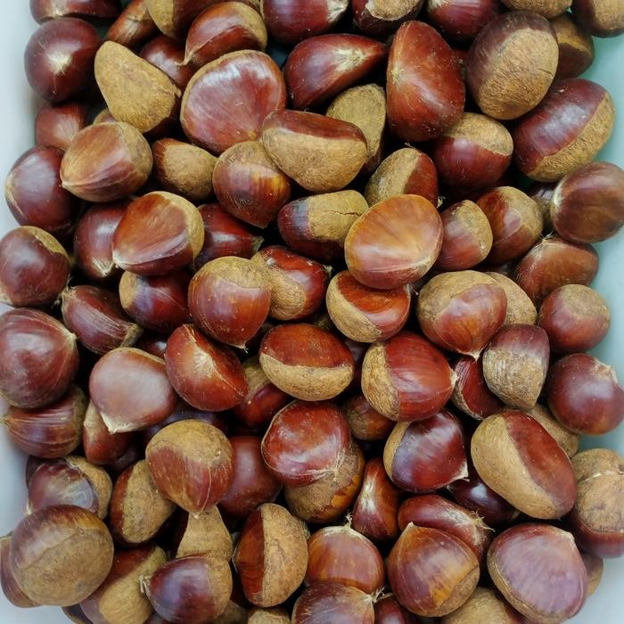 

Kacang Chesnut Mentah 1Kg
