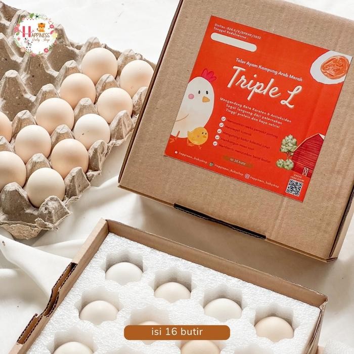 

(Expert) (PACKING AMAN) TRIPLE L TELUR KAMPUNG / TELOR AYAM KAMPUNG ARAB FRESH ISI 16 BUTIR