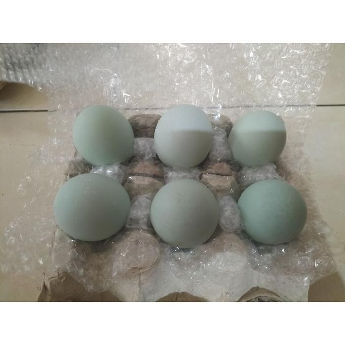 

(Expert) PAKET WOW TELUR ASIN (15 butir) BACA DESKRIPSI !!!