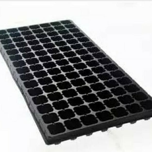 Tray Semai 105 Lubang