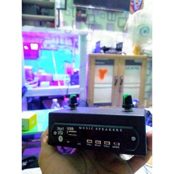 [Expert] amplifier mini bluetooth MP3