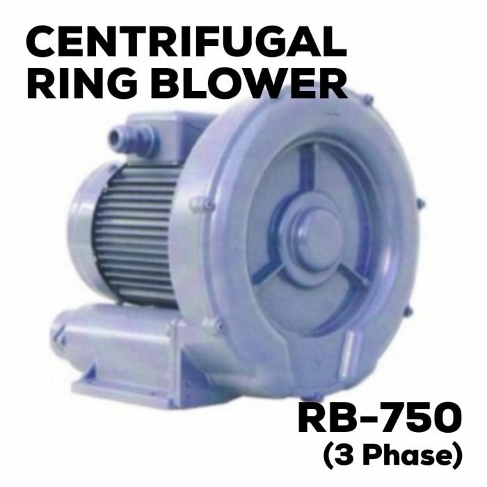 Centrifugal Ring Blower 750W 3 Phase (Rb-750) Best
