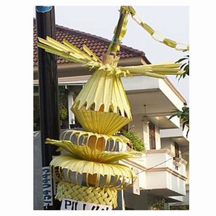 janur kuning pernikahan resepsi