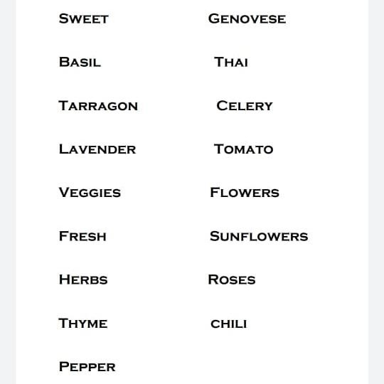 

Stencil Custom Tulisan