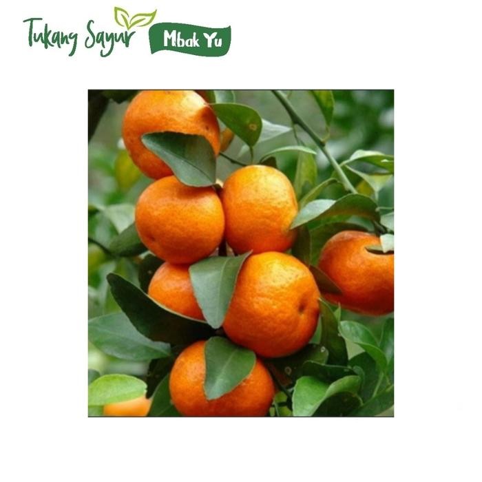 

NWFK Jeruk Santang Madu 500Gr