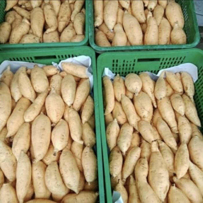 

8SXE Ubi Madu Lumer Cilembu 1Kg Fresh