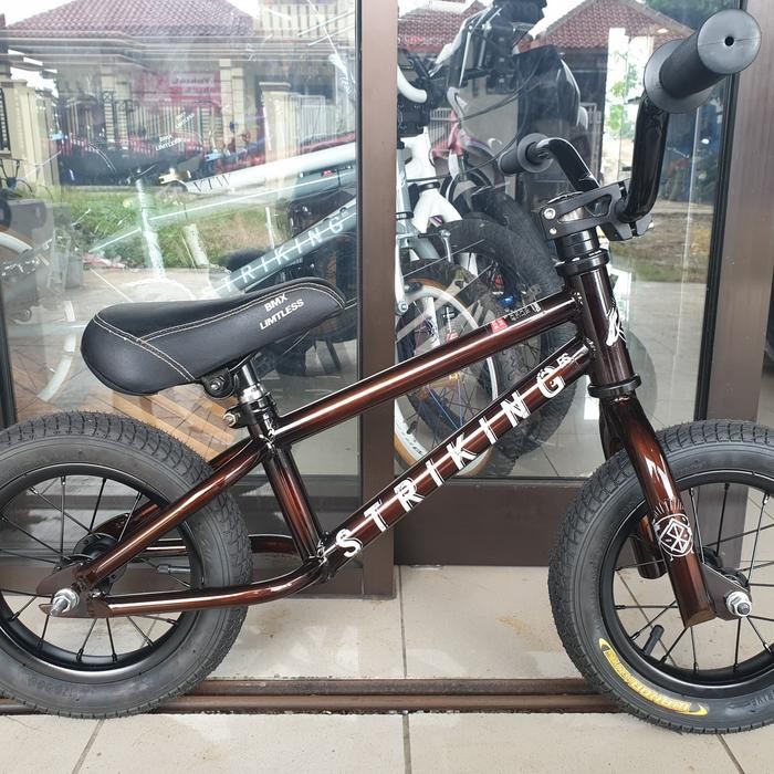 fullbike push bike tatross bmx