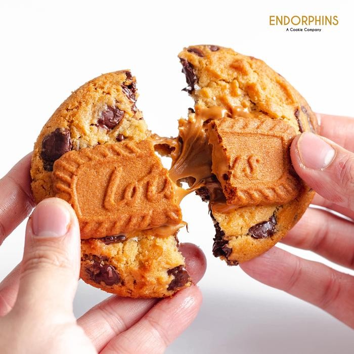 

OR6T Lotus Biscoff Chocolate Chip Cookies