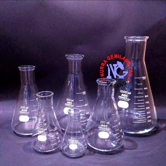 TERLARIS Tabung Erlenmeyer 100ml iwaki Pyrex