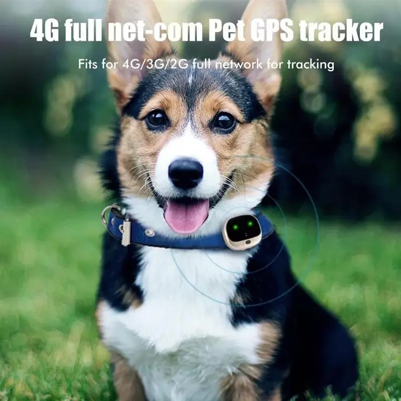 4G GPS Pet Dog Tracker Collar, Mini Cat Anti-Lost Tracker Locator Smart Dog Hound Locator Collar Pet