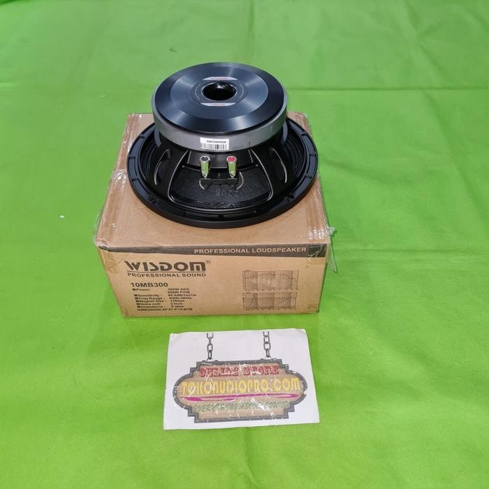 Wisdom 10MB300 Component Speaker 10 Inch Original Wisdom