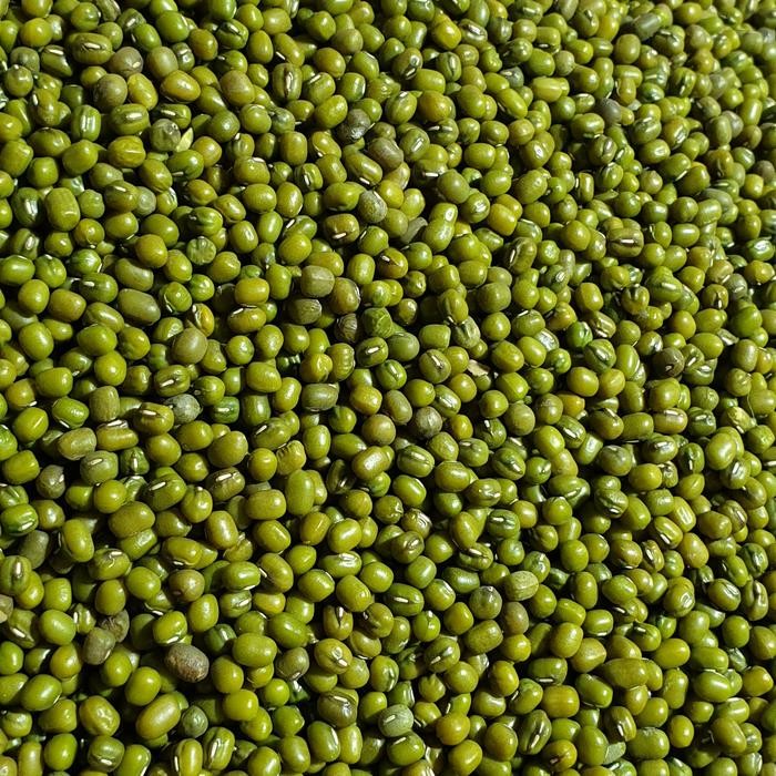 

3YC3 Kacang Hijau/Kacang Ijo Australia 1Kg. Kering