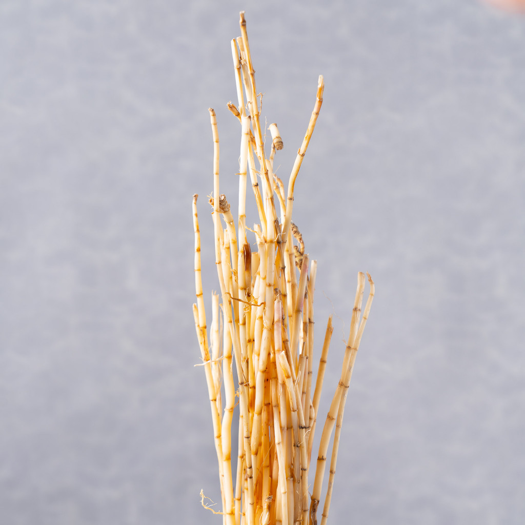 

Akar Alang-alang Konvensional 100 gram