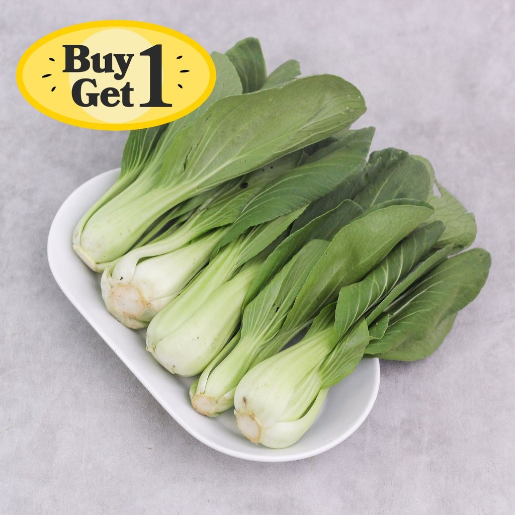 

Baby Pak Choy B1G1 Konvensional 1 pack