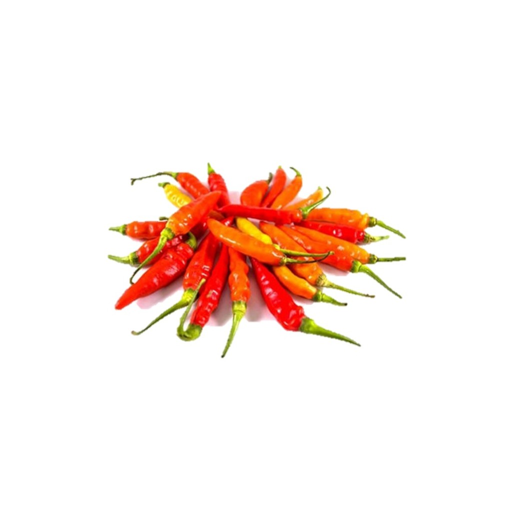 

Cabai Rawit Merah Hidroponik Hidroponik 150 gram