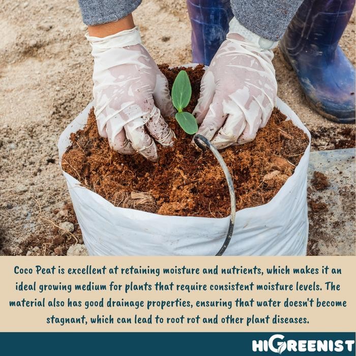 Mode Vintage Coco Peat Premium (5L) - Media Tanam Coco Peat Fermentasi