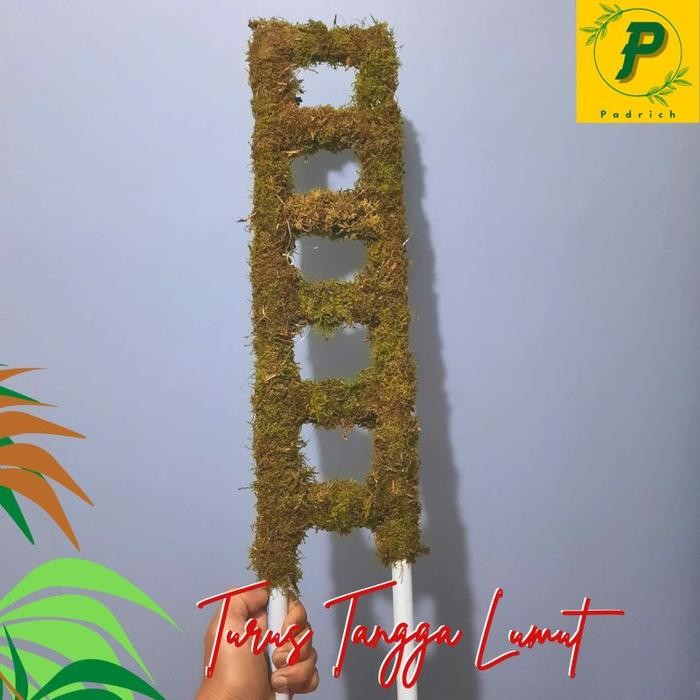 Mode Vintage Turus 150Cm Tangga Lumut Pipa