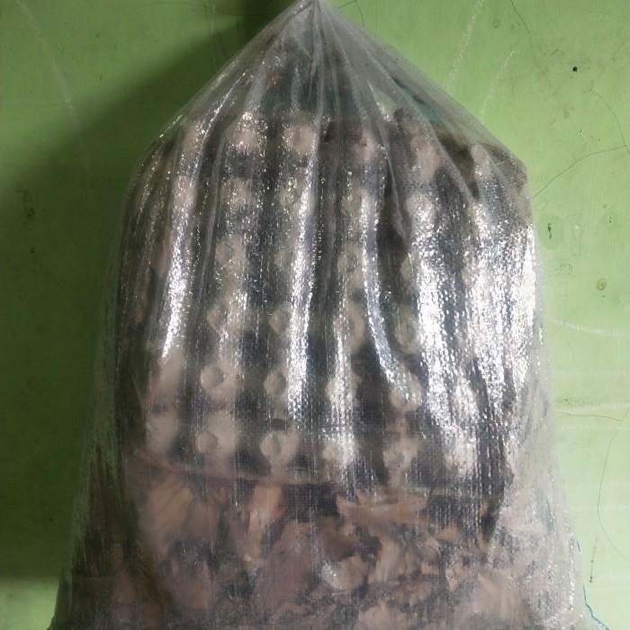 (Allthebest) jangkrik alam hidup 1kg