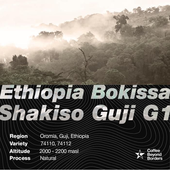 

Arabica Green Beans - Ethiopia Bokissa Shakiso Guji G1
