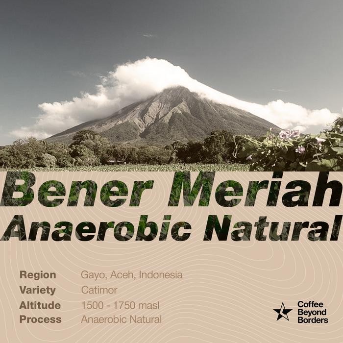 

Arabica Green Beans - Indonesia Aceh Bener Meriah Anaerobic Natural