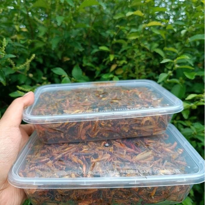 

belalang goreng utis kecil kemasan box bisa request snack murah keripik Makanan Pedas