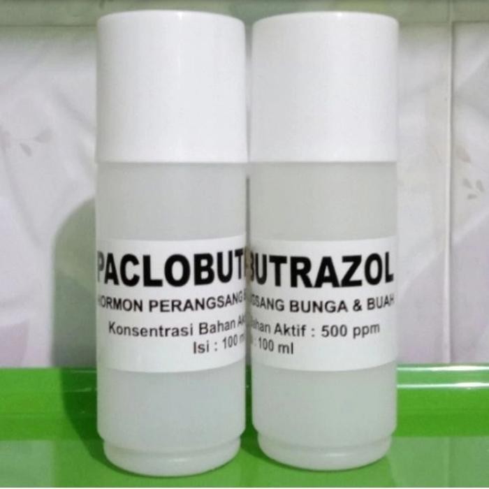 Hormon Tanaman Paclobutrazol