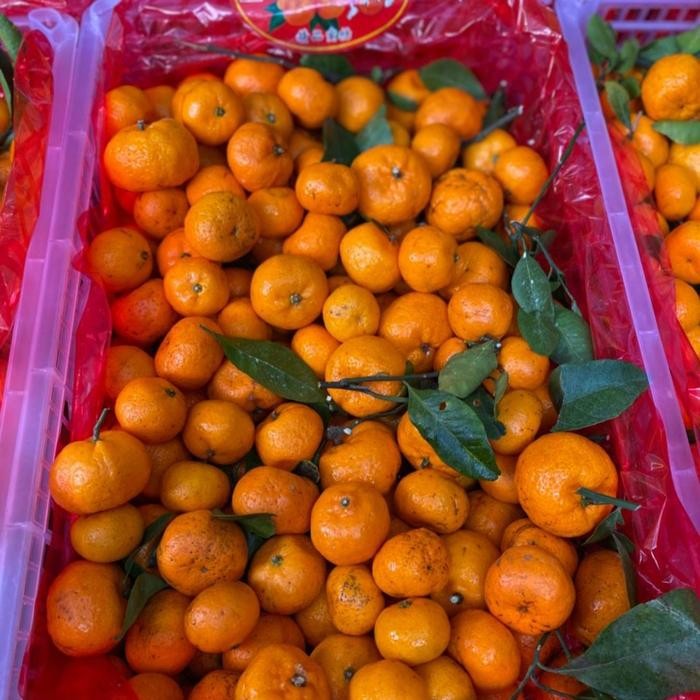 

SIAPKIRIM Jeruk Santang Jeruk Mandarin Jeruk Kecil Yumsun 6kg READY STOCK