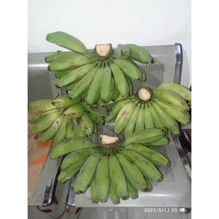 

ORIGINAL PISANG KEPOK KUNING JUMBO - PER SISIR / FREE ONGKIR READY STOCK