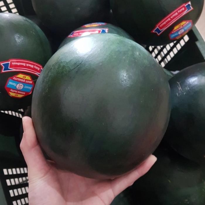 

SIAPKIRIM Semangka Baby Black Aussie (Manis, Seedless) per pcs READY STOCK