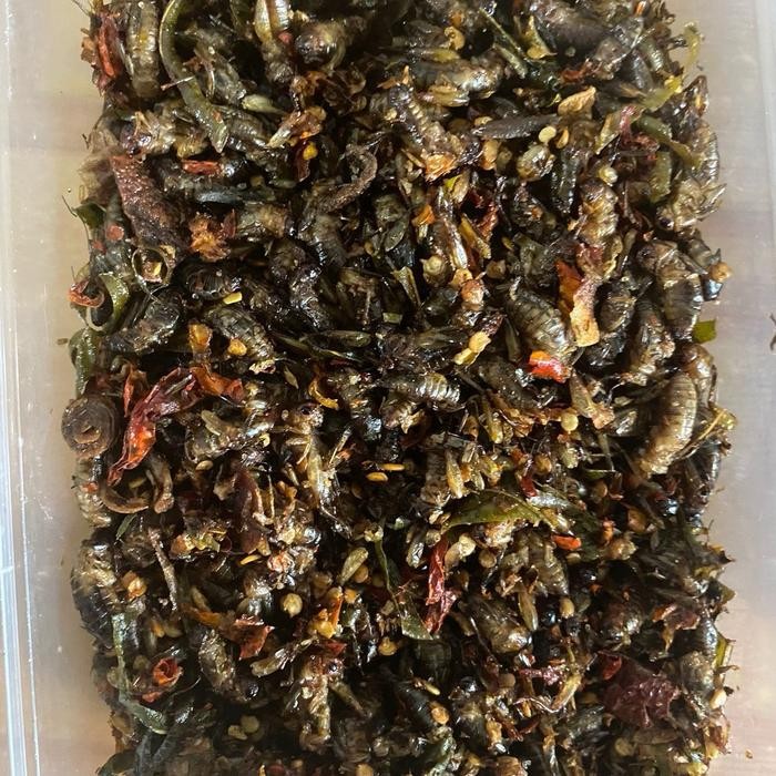 

Jangkrik Goreng Alam - Makanan Praktis dan Gurih - Snack, Cemilan, Food