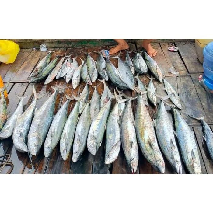 alat pancing"" SPOON TENGGIRI 30,40,60,80 gr ""