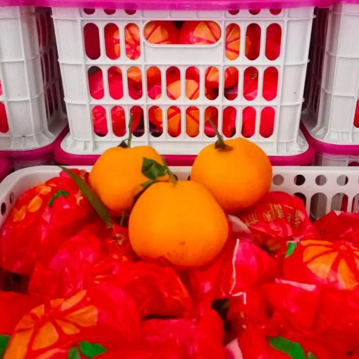 

ASLI Jeruk Papagan/Dekopan READY STOCK