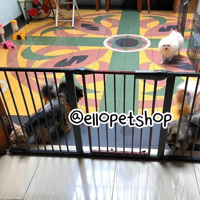 PAGAR ANJING / KANDANG ANJING / KANDANG PAGAR PEMBATAS ANJING Terlaris