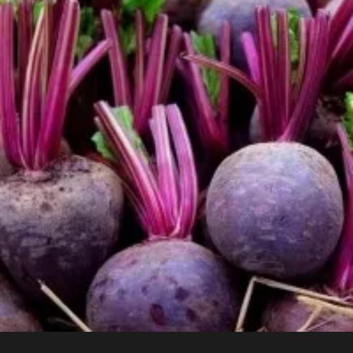 

ASLI Buah Bit Beet 1 Kg READY STOCK