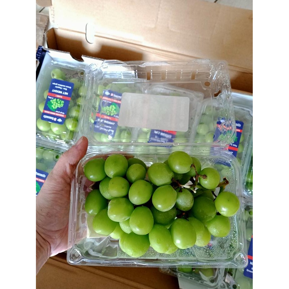 

ORIGINAL ANGGUR HIJAU MUSCAT PACK READY STOCK