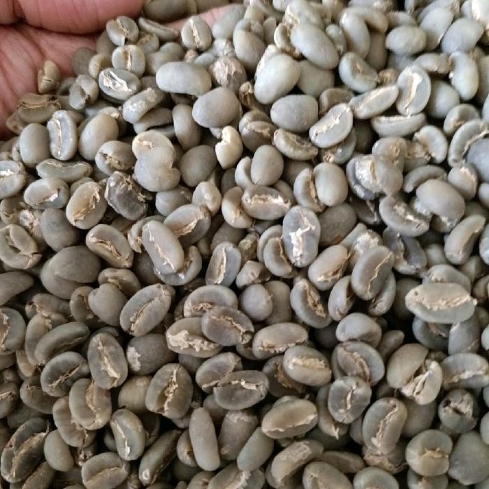 

Green Bean Arabika Gayo Semi Wash G1 Pasti Diskon